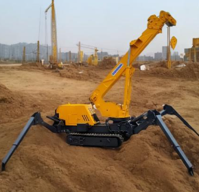 冬季蜘蛛吊如何進(jìn)行保養(yǎng)？