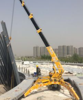 蜘蛛吊為什么那么小巧？